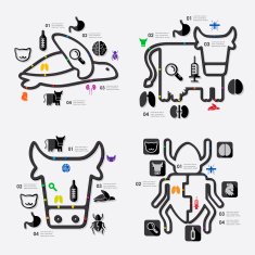 veterinary infographic N64