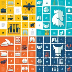 veterinary flat infographic N61