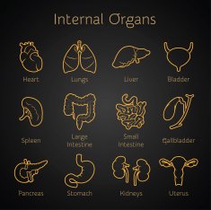 Set of otlines icons with human orangs