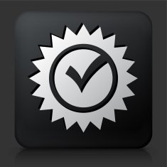 Black Square Button with Check Mark Icon N3