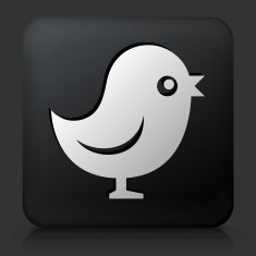 Black Square Button with Talking Bird Icon