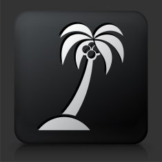 Black Square Button with Palm Tree Icon N23