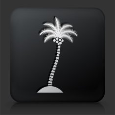 Black Square Button with Palm Tree Icon N24