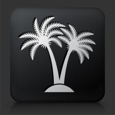 Black Square Button with Palm Tree Icon N26