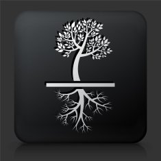 Black Square Button with Tree Icon N39