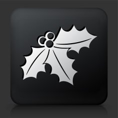Black Square Button with Poinsettia N2