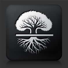 Black Square Button with Tree Icon N40
