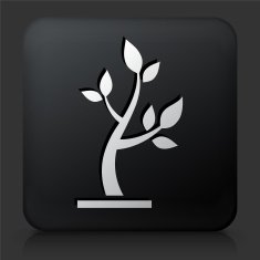 Black Square Button with Tree Icon N41