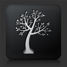 Black Square Button with Tree Icon N43