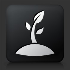 Black Square Button with Sprouting Plant Icon N4