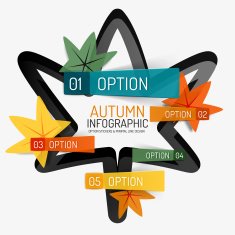 Autumn option infographic banner minimal design N4