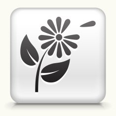 White Square Button with Petals Icon