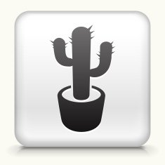 White Square Button with Cactus Plant