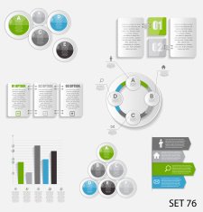 Collection of Infographic Templates for Business Vector Illustra N147