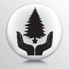 Pair of hands cupping a Christmas tree