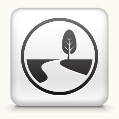 Square Button with Road Path and Tree