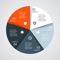 Modern vector info graphic for business project N283