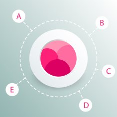 colorful round diagram infographics for presentations N19