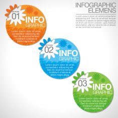 Abstract infographics Flower N2