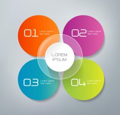 Infographics - 4 steps N11