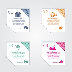 Infographic Vector illustration N3