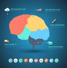 Brain idea geometric info graphics template design N2