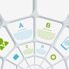 White web infographic with blue and green text