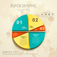abstract pie chart infographics N23