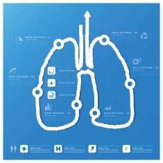 Lung Shape Business And Medical Infographic Design Template N2