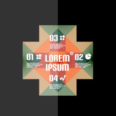 Vintage retro geometric infographic banner N14
