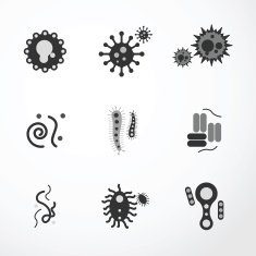 vector virus icons black colour N2