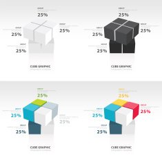 swivel cube infographic template set