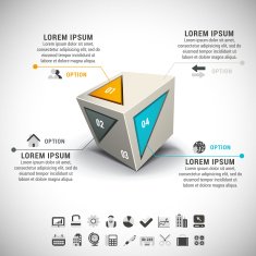 Infographic N535