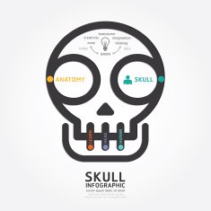infographics vector skull and brain design diagram line style N2