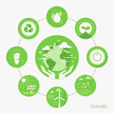 Ecology N10