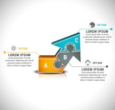 Infographic N538