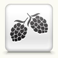 Square Button with Hops