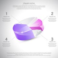 Pie Chart Infographic N8