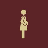 Maternity Flat Icon N24