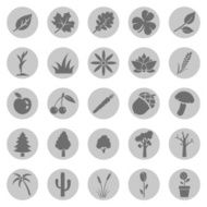 Vector Set of Plants Icons N9