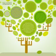 Leaves infographic N13