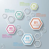 Colorful Abstract Hexagons Infographic 5 Options