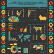 Agriculture animal husbandry infographics Vector illustrations N20