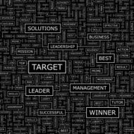 Target N17