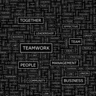 Teamwork N57