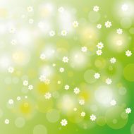 Easter Card Background White Flowers N2