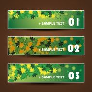 Banner or Header Design - Autumn Leaves N2