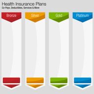 Health Insurance Plan Chart