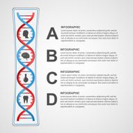 Infographics in the DNA helix form N2