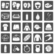 Vector Set of Mix Martial Arts Icons N18